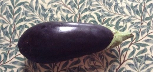 Image of an aubergine